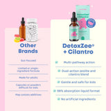 JoySpring DetoxZee étiquette naturelle et ses ingrédients clés