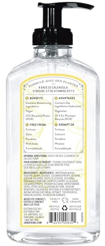 Versement de savon citronné J.R. Watkins Naturals, mousse douce prête à l’emploi.