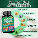 Capsules JTEVEweu Ashwagandha et Gingembre, soutien potentiel énergie