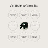 Juna Gut Therapy – prébiotiques et probiotiques en synergie pour l’équilibre du microbiome