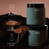 Juna Gut Therapy – synbiotique, combinaison prébiotiques et probiotiques en action