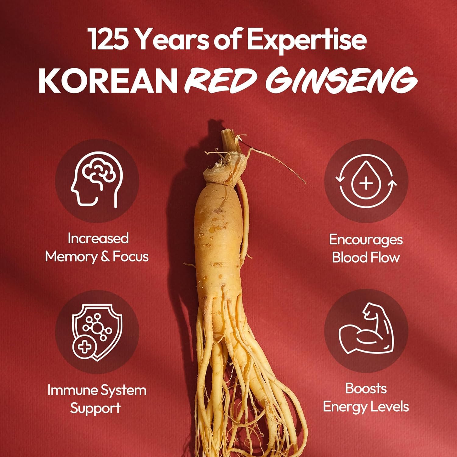 Racines de ginseng Jung Kwan Jang, source naturelle d'énergie.