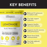 JUST INGREDIENTS limonade-électrolytes emballage 30 portions, longue durée