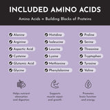 Just Ingredients Mountain Berry Protein Powder — usage polyvalent dans céréales et pâtisseries