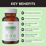 JUST INGREDIENTS Multivitamine, sans ogm et gélules végétariennes.