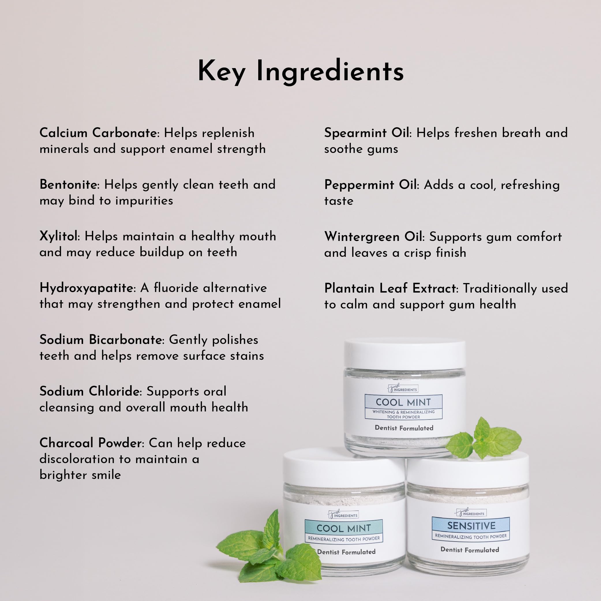 Just Ingredients Poudre Dentaire Réméralisante — texture fine et naturelle, brossage doux