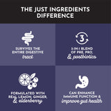 JUST INGREDIENTS Stick se dissolvant dans l'eau – saveur rafraîchissante citronnée.