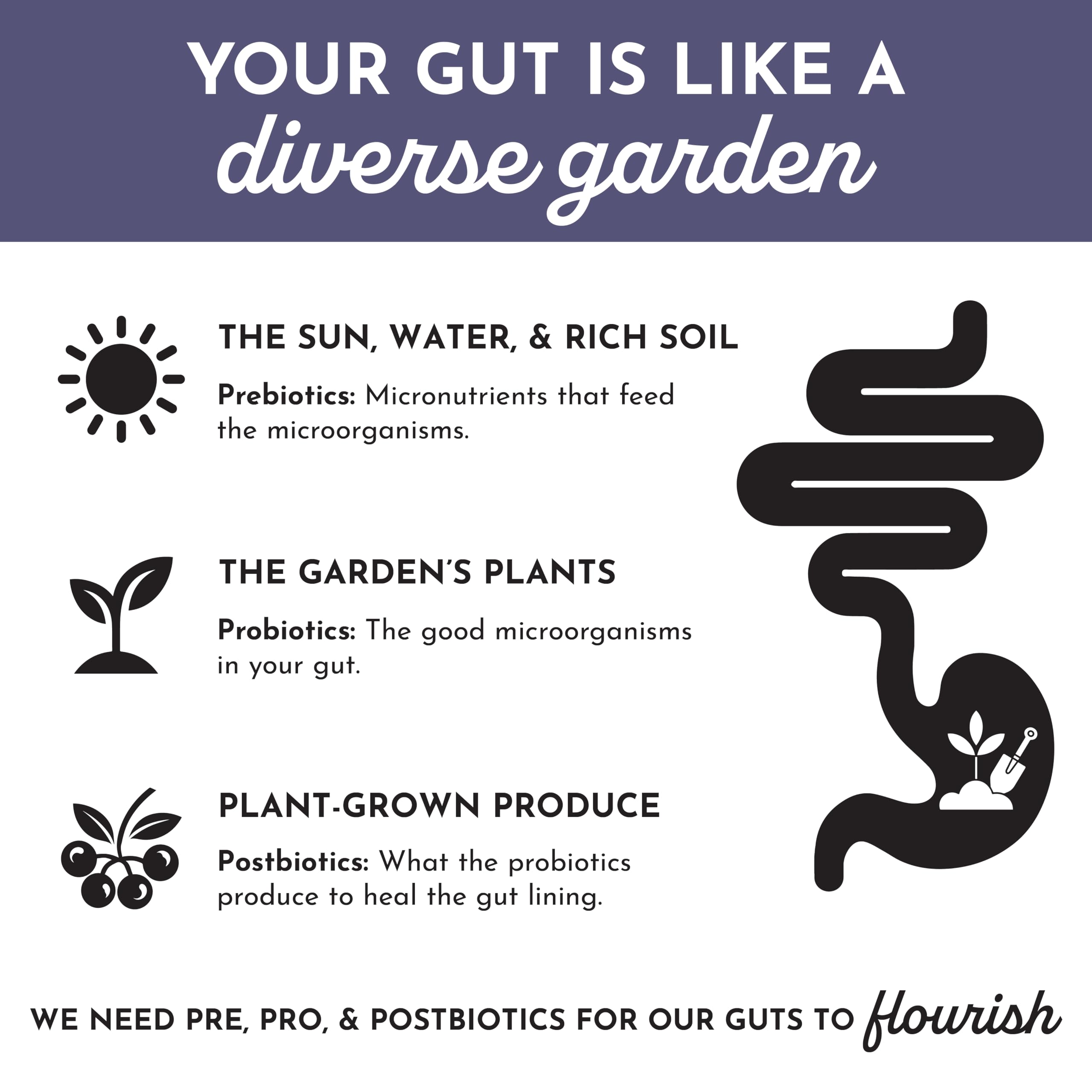 JUST INGREDIENTS Utilisation quotidienne – boisson pratique pour la routine bien-être.