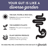 JUST INGREDIENTS Utilisation quotidienne – boisson pratique pour la routine bien-être.