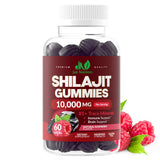 Just Nutrients Shilajit Gomme en bouteille, pratique pour énergie quotidienne.