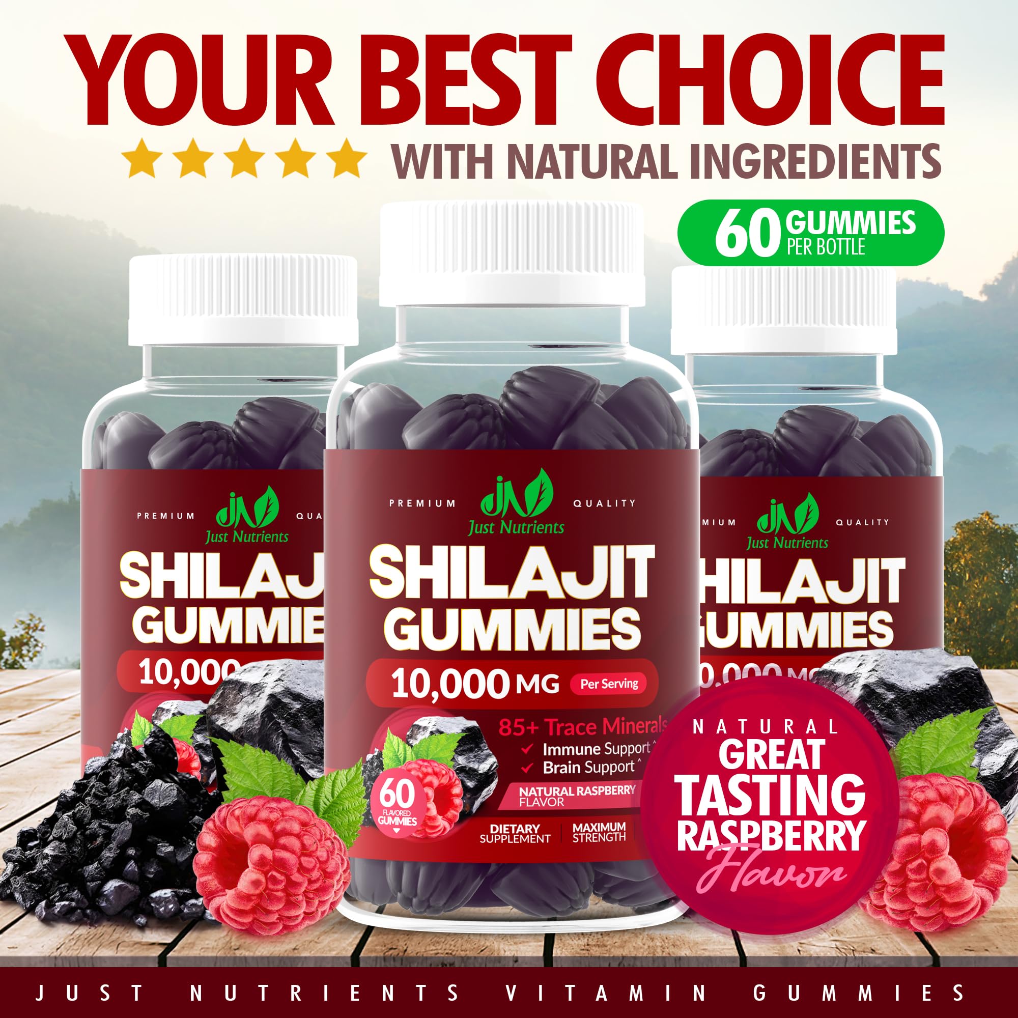 Emballage Just Nutrients Shilajit Gomme — 60 gommes sans gluten.