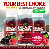 Emballage Just Nutrients Shilajit Gomme — 60 gommes sans gluten.