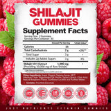 Suggestion d'utilisation quotidienne pour le bien-être avec Just Nutrients Shilajit Gomme.
