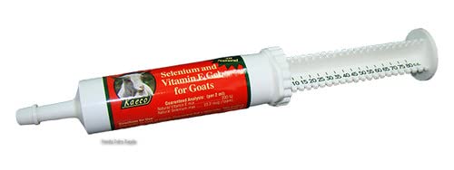 Application du gel Kaeco sélénium vitamine E sur une chèvre, facilité et précautions.