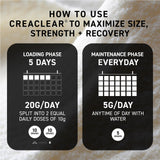 Kaged CreaClear: formats 30 et 100 portions selon votre routine.