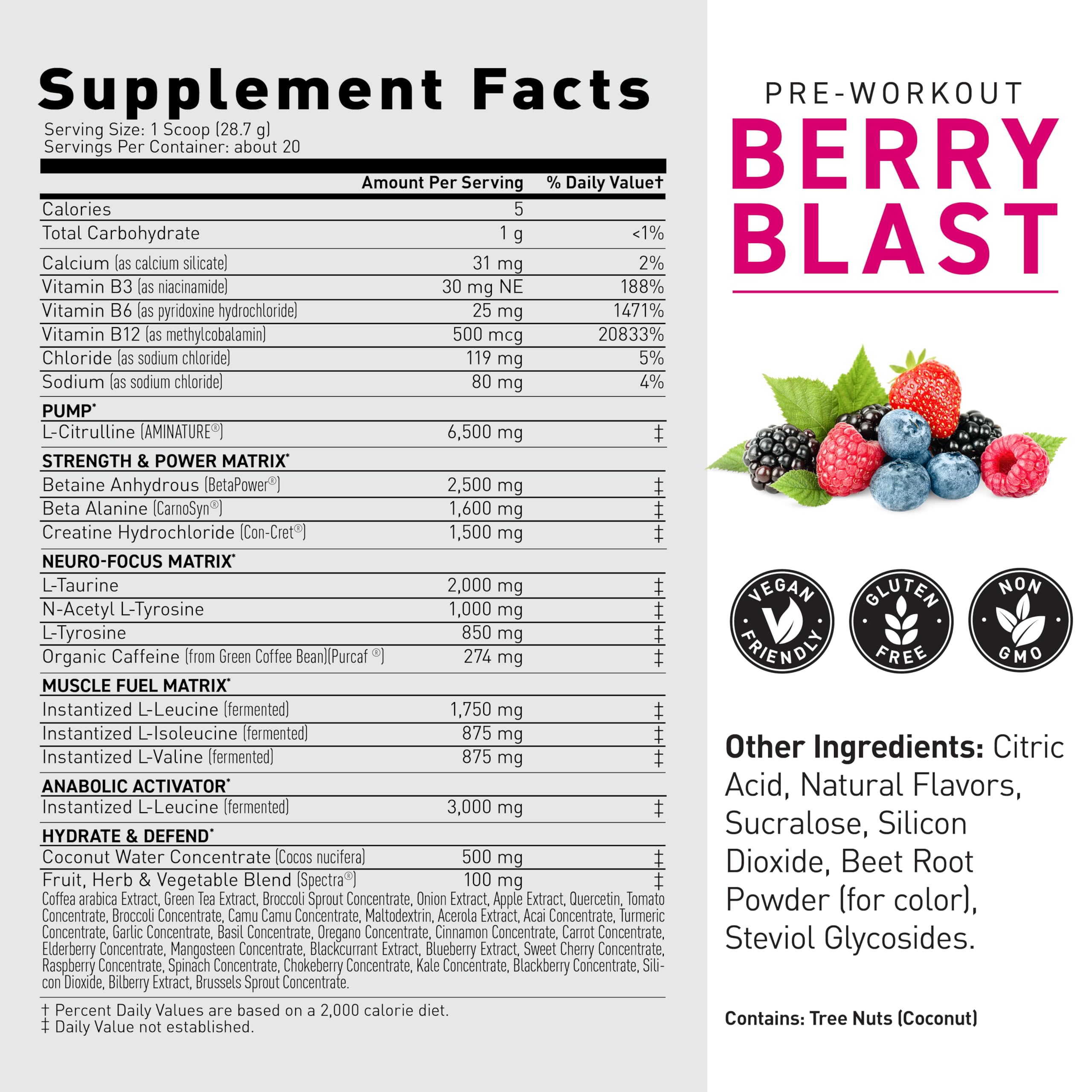 Shaker Kaged Berry Blast – mélange rapide et pratique avant l’entraînement