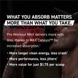 Kaged Pre Workout MAX – utilisation en salle de sport, formule sans picotement
