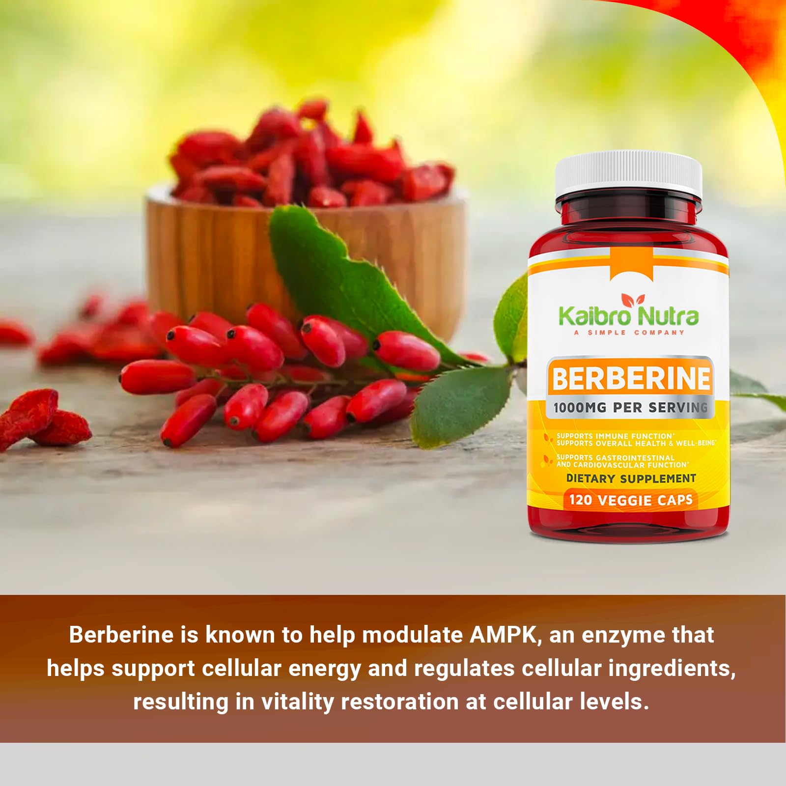 Kaibro Nutra Berberine: emballage clair et lisible pour une sélection aisée