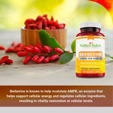 Kaibro Nutra Berberine: emballage clair et lisible pour une sélection aisée