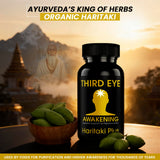 Kailash Herbals Haritaki, bouteille en ambiance bien-être, facilite la routine saine.