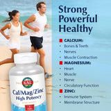 KAL Cal/Mag/Zinc: comprimés ActivTab, dissolution rapide en 30 minutes.