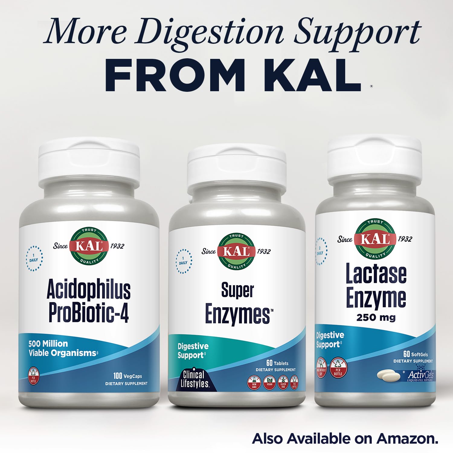 KAL tablettes digestives usine GMP, assurance qualité et pureté.