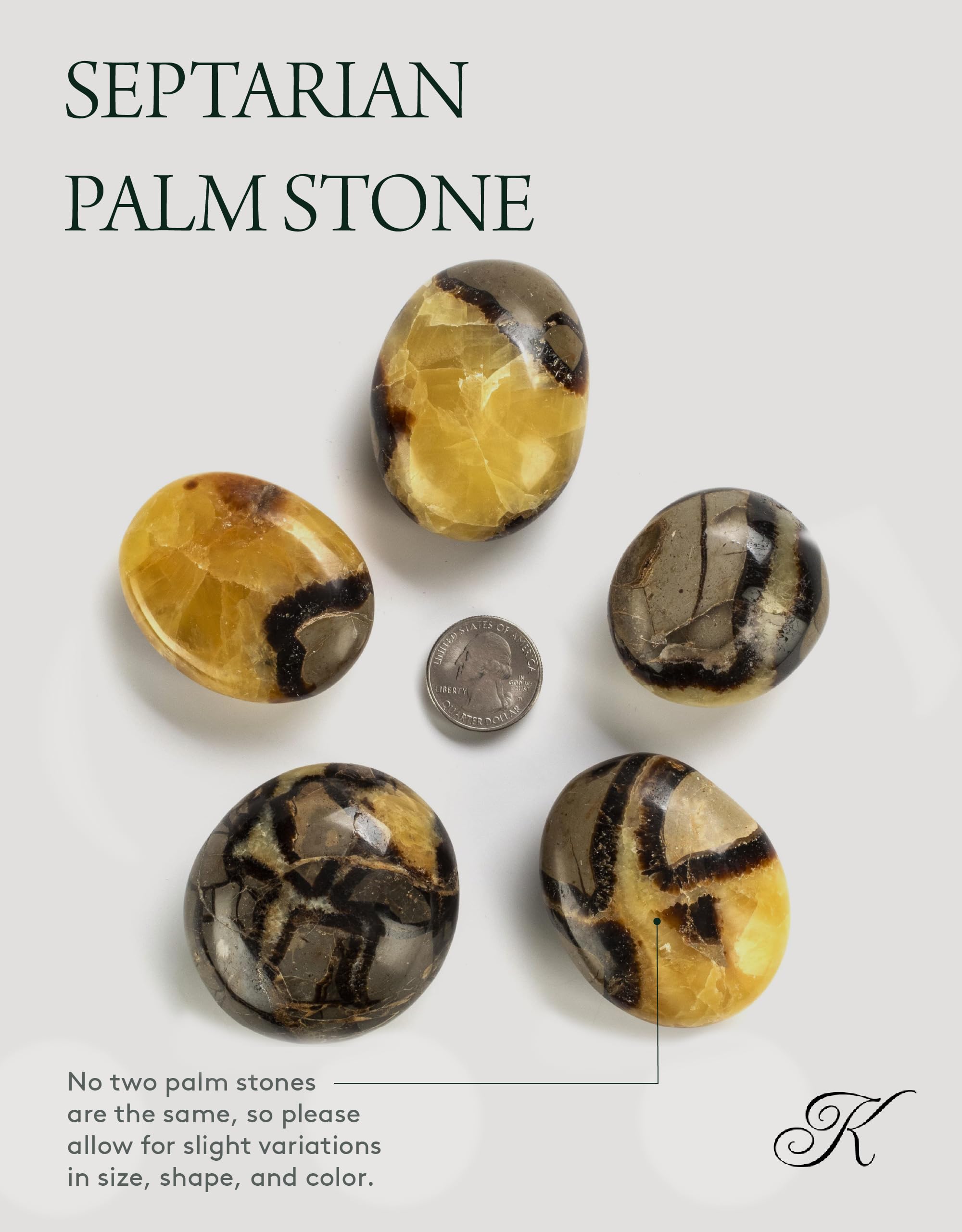 Kalifano Pierre Septarian paume : brillance naturelle pour méditation et focus