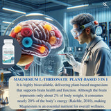Kappa Nutrition MagBrain, flacon base végétale, magnésium L-thréonate à base végétale.