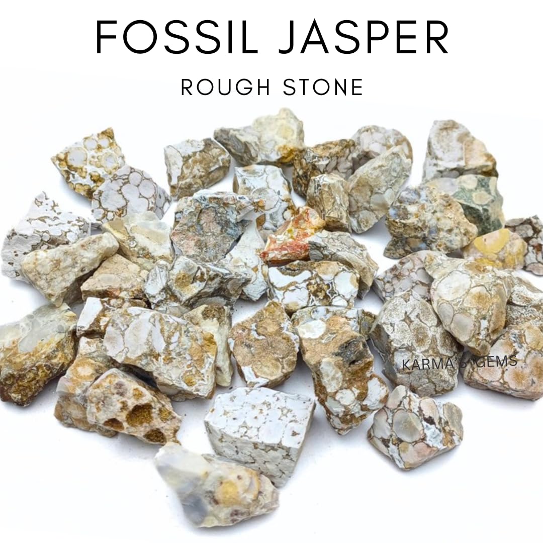 Karma Gems Fossil Jasper, gros plan montrant texture naturelle et couleurs terre.