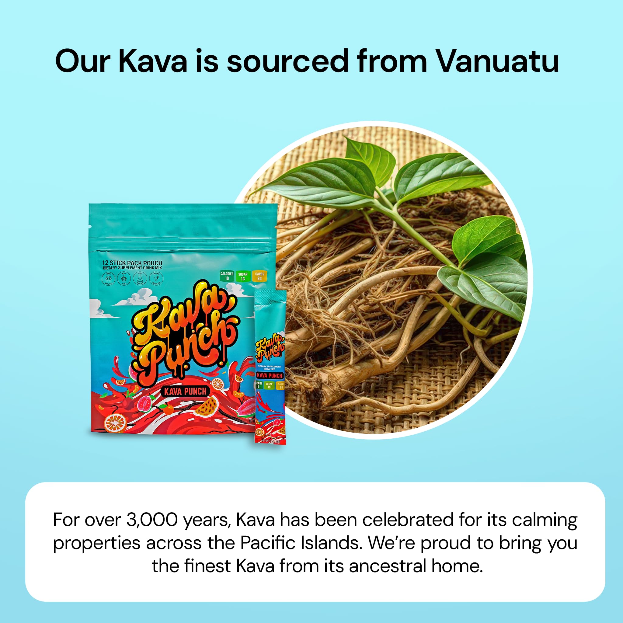 KAVA PUNCH format compact : facile à glisser dans le sac pour voyager.