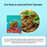 KAVA PUNCH format compact : facile à glisser dans le sac pour voyager.