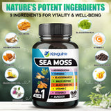 Kavguine huile de nigelle, extrait nutritif pour le quotidien