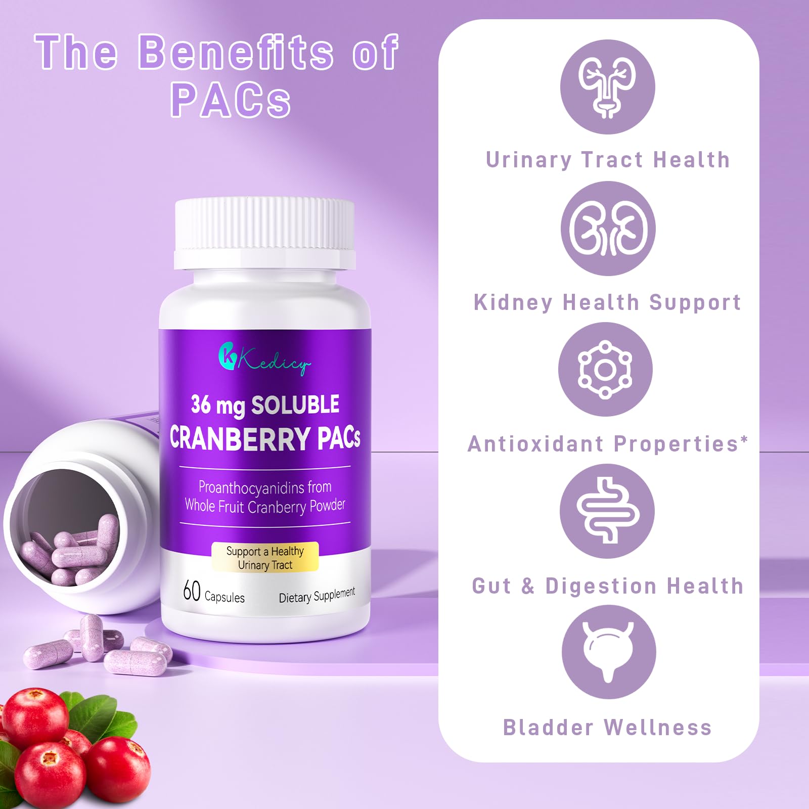 Gelules Kedicy Canneberge poudre-fruit-entier, conservent les nutriments essentiels.