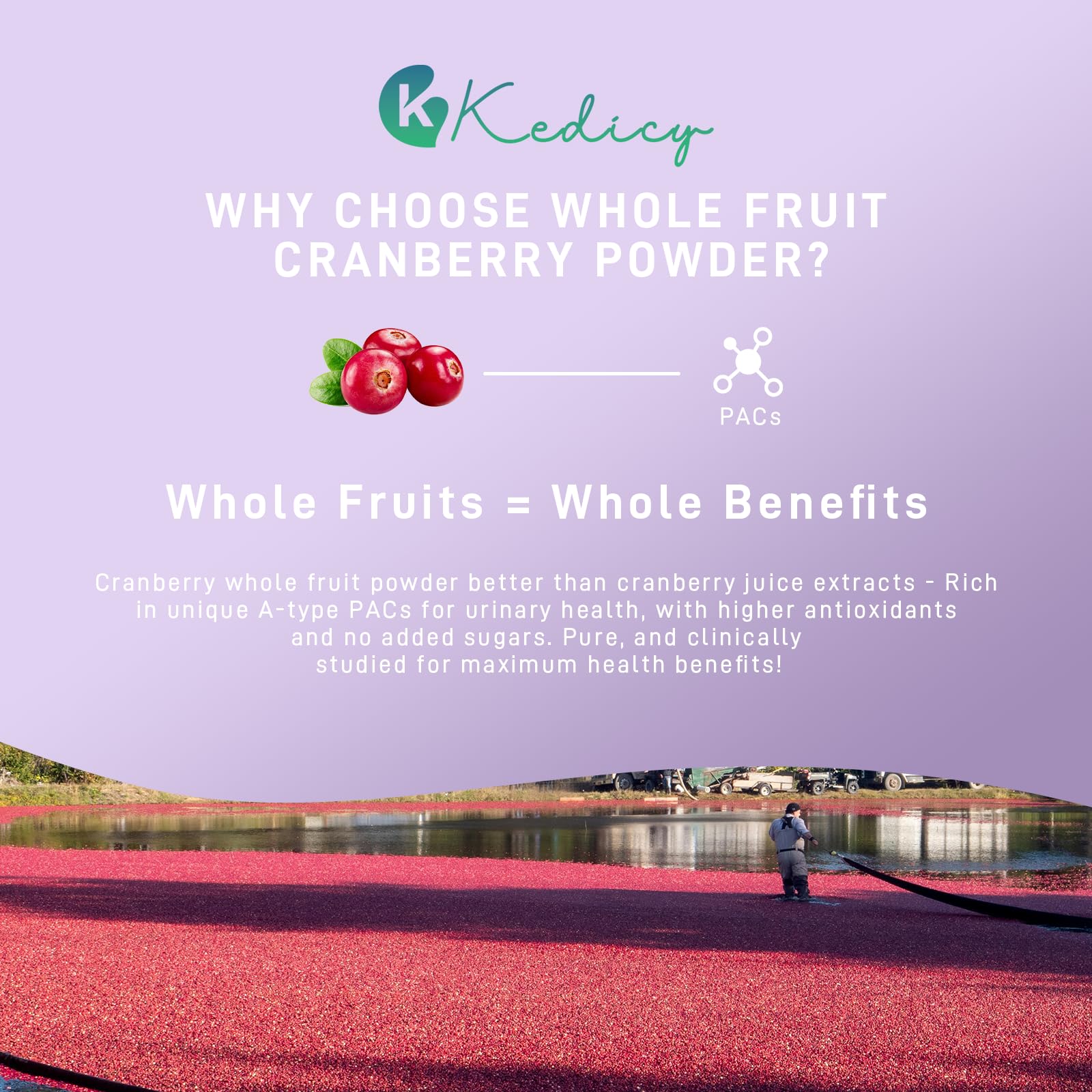 Gélules Kedicy sans sucre ajouté, formulation naturelle et légère.