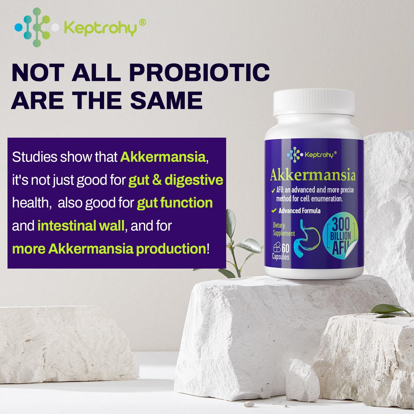 Keptrohy, utilisation quotidienne en capsules pour une routine digestive.