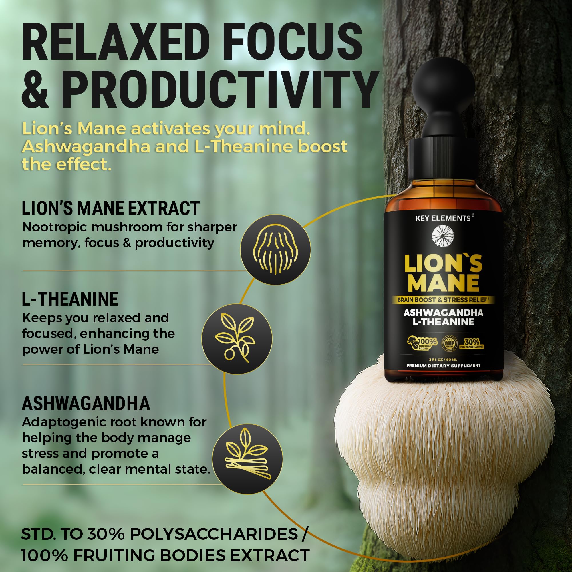 KEY ELEMENTS Fruiting-body-crinière-de-lion – polysaccharides standardisés utiles.