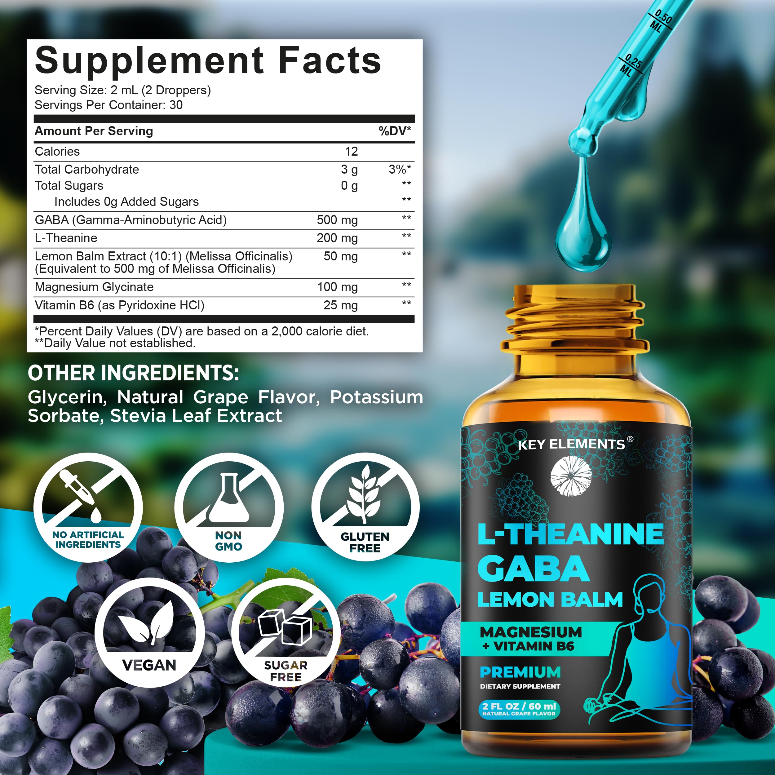 KEY ELEMENTS GABA liquide: ingrédients clés affichés, L-Theanine et magnésium associés.