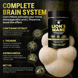 Étiquette biologique et extrait 10:1 du Lion’s Mane, pour plus de transparence.