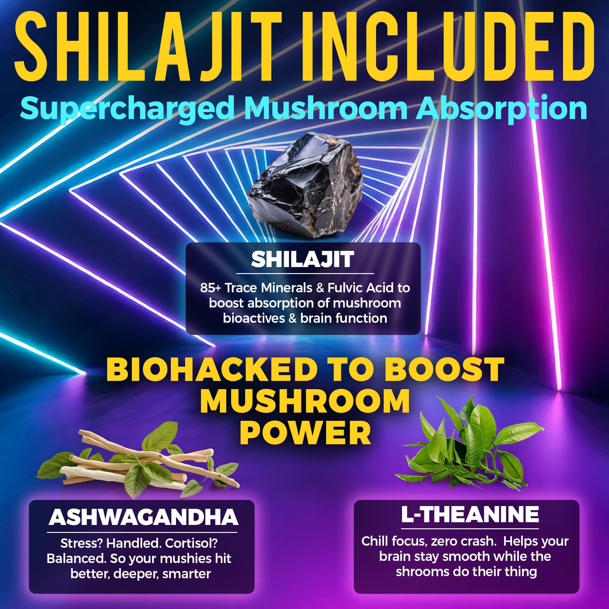 Ingrédients KEY ELEMENTS Shilajit montrant l’absorption rapide.