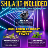 Ingrédients KEY ELEMENTS Shilajit montrant l’absorption rapide.
