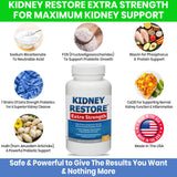 Kidney Restore Guide utilisation – ressources et conseils pour une utilisation optimale.