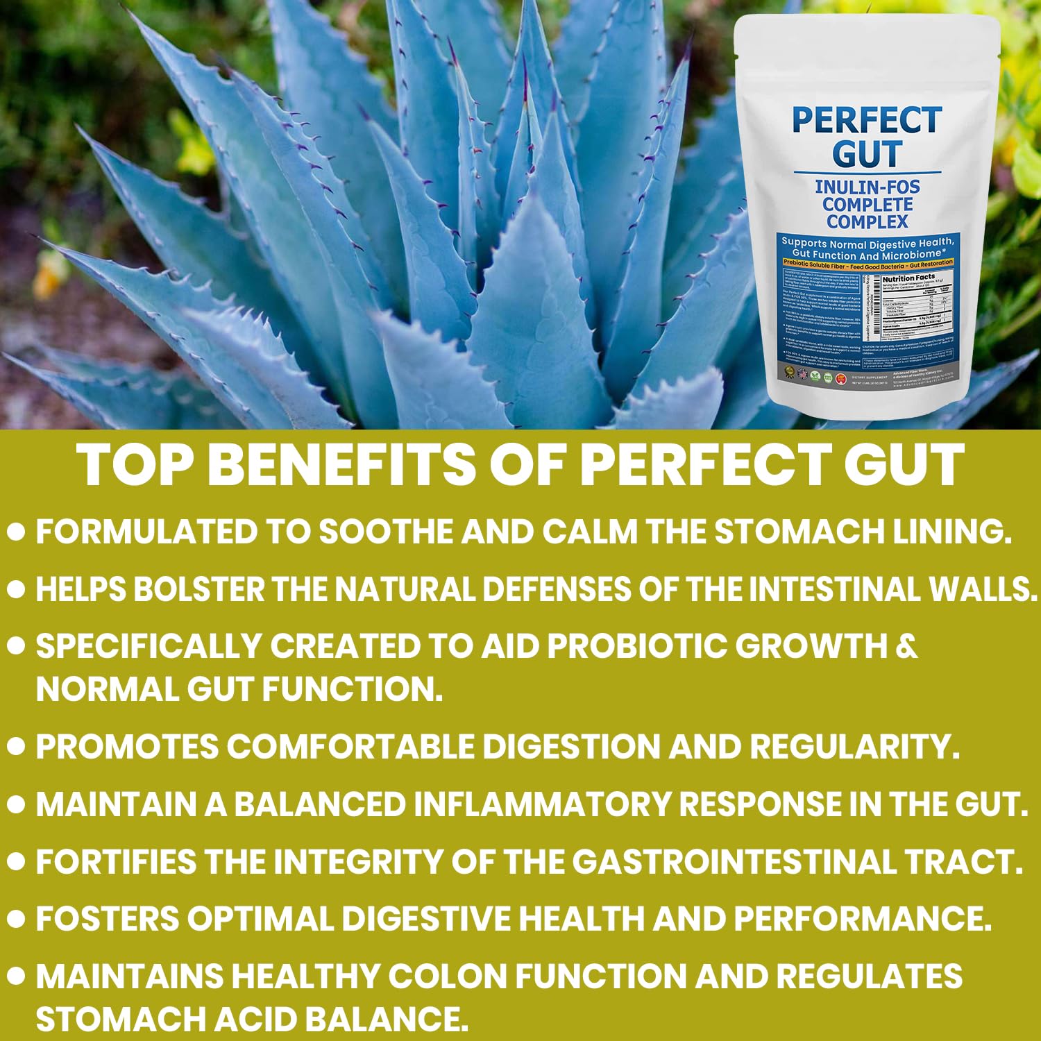 Mélange Perfect Gut dans smoothie pour une intégration facile