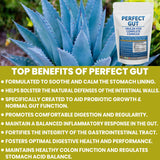 Mélange Perfect Gut dans smoothie pour une intégration facile