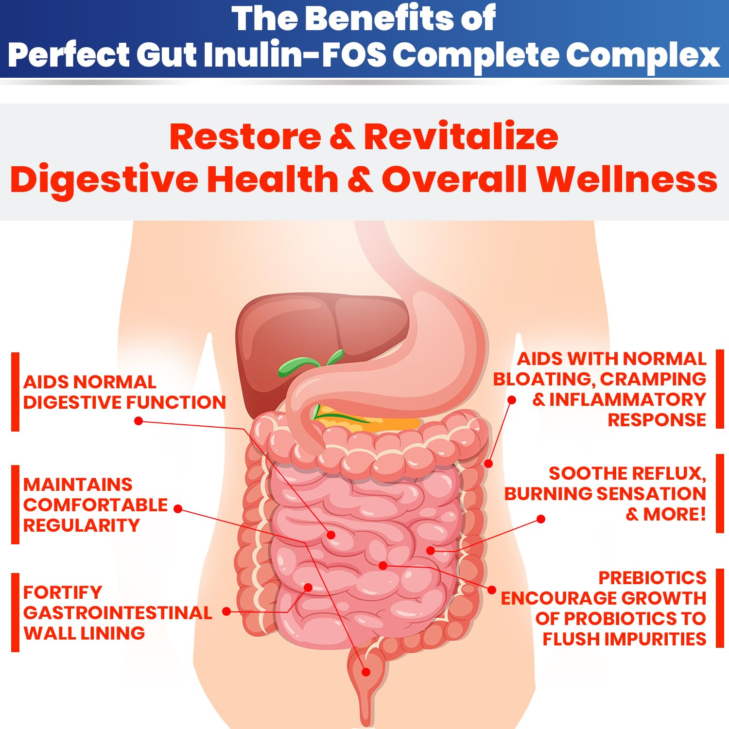 Verre d’eau avec Perfect Gut illustrant une utilisation rapide