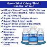 Kidney Shield — antioxydants et EPA purifiés pour protection cellulaire.