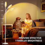 Trois températures de couleur KingSom (3000K-6000K) pour imiter différentes ambiances.