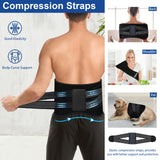 KingPavonini ceinture-design lombaire-ergo assure un contact optimal sur le dos.