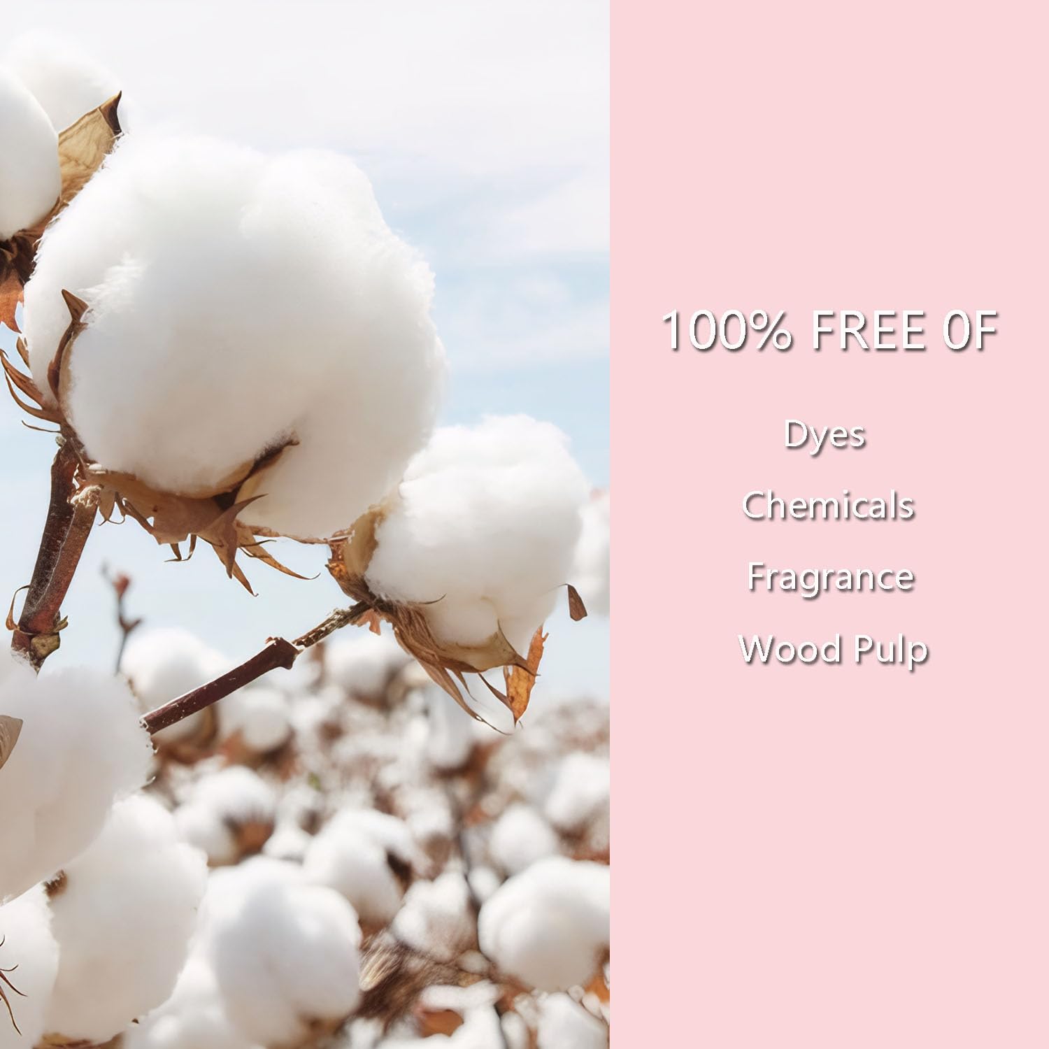 Tampons Kinzino reduction des dechets plastiques grace a l absence d applicateur.