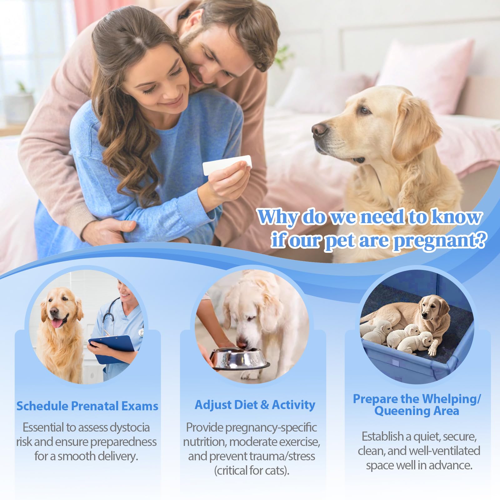 kit-test-grossesse-animaux-domicile-tube-collecte: outil de collecte facile et hygiénique