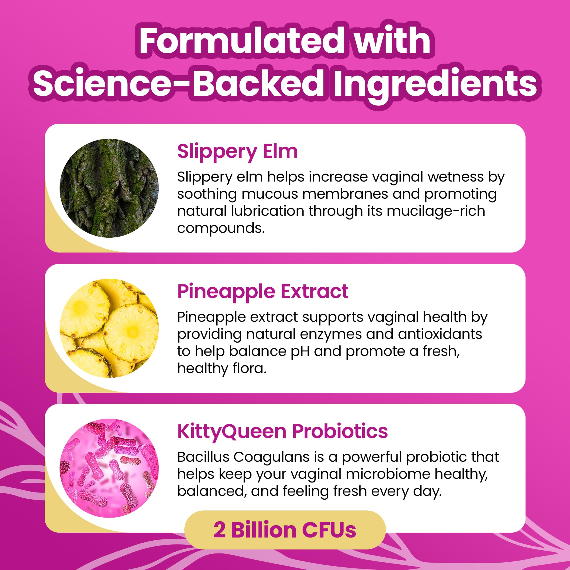 KITTYQUEEN Slippery Kitty Gommes, texture douce et hydratation naturelle.